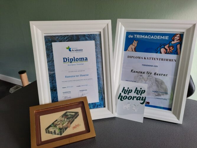 Diplomas